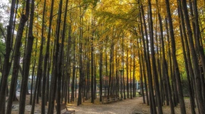 Fühlst du, dass ich Eins und doppelt bin?