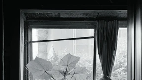 Das Fenster zur Straße