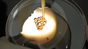 Der Fetisch mit den Frischzellen