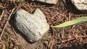 „Meine Eltern starben Hand in Hand“