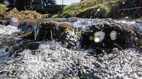 Arsen und Blei in der Erde