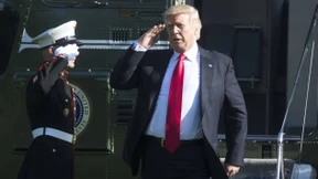 Der Gelegenheitsfaschist