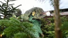 Weihnachten beginnt in diesem Jahr früher