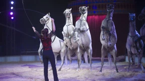 Keine Tiere mehr in der Manege