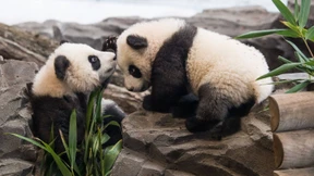 Pit und Paule auf großer Tour