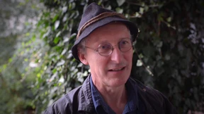 Bäume kuscheln nicht