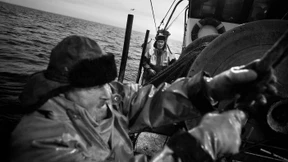 Fischer bleibt Fischer