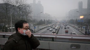 Feinstaub aus der Luft ins Gehirn