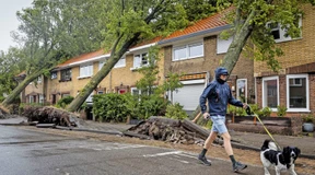 Frau kommt bei Sturm ums Leben