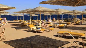 Urlaubskonzerne sagen Reisen nach Ägypten ab