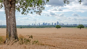 Frankfurt hofft auf Geldwäschebehörde