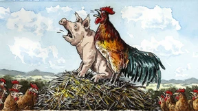 Der falsche Kandidat