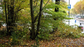 Keine generellen Regeln