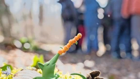 Im grünen Klassenzimmer