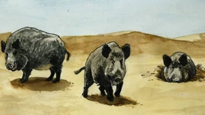 Die neuen Feinde der Menschheit