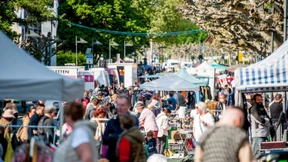 Der Frankfurter Flohmarkt kehrt an den Schaumainkai zurück
