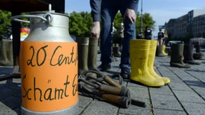 4,5 Millionen Euro für Milchbauern in Hessen