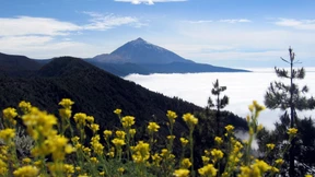 Lohnt sich ein Bildungsurlaub?