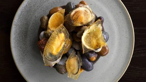 Das Krokodil, das Känguru, ihr Koch und seine Mission