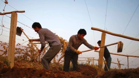 Regierungschef verrät, wie viel Wachstum China braucht