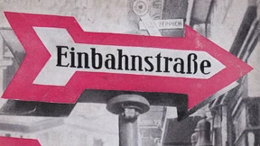 Nicht nur Europas Insekten