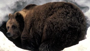 Trumps Regierungszeit auf hoher See aussitzen?