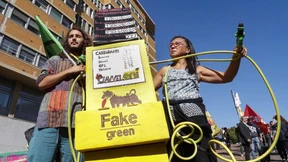 IOSCO will grünen Bilanzschwindel bekämpfen