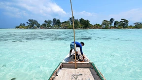 Wenn das Paradies zur Hölle wird