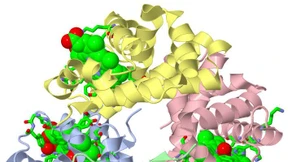 Ein Atlas des Protein-Universums
