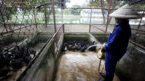 EU einigt sich auf Freihandel mit Vietnam