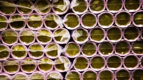 Rekordfund falscher Euro-Münzen in Italien