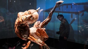 „Körperwelten“-Ausstellung eröffnet in Hanau