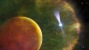 Tödlicher Tanz der Schwarzen Witwe