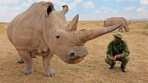 Die Letzten ihrer Art