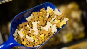 EQT bietet 3,6 Milliarden Euro für Zooplus