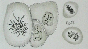 Gleich ist anders – anders ist gleich