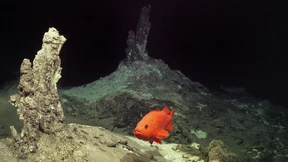 Vor Island raucht der Meeresboden