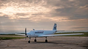 Der Schwarze Schwan hebt ab