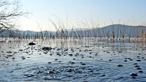 Zeugen des Infernos in der Osteifel