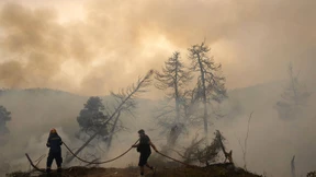 „Der Planet schwebt in Lebensgefahr"