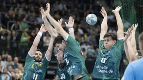 Wie sich deutsche Handballvereine professionalisieren