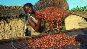 „Der Kakao-Anbau ist keine heile Welt“