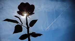 Läuft doch gar nicht so schlecht hier