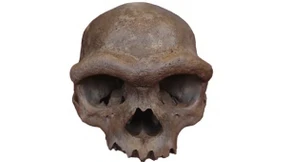 Ein asiatisches Kapitel der Menschheitsgeschichte, verborgen im Zahnstein