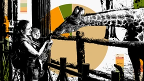 Zehntausende Tiere, viele Millionen Euro – und ein Dauerthema