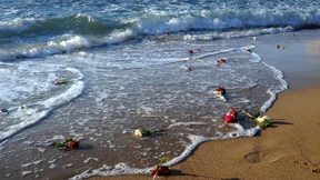 Absturz in Ägypten wegen Brand in Cockpit?