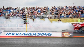 Zwischen den Ohren der Drachen 