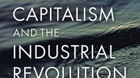 Erst die Plantagenarbeit, dann die Konsumrevolution