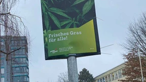 Wahlwerbung mit Cannabis-Pflanze