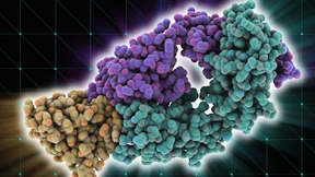 Der Körper hilft sich selbst